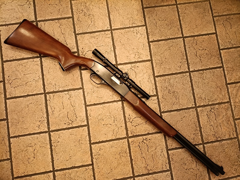 Winchester Cal. 22 LR Mod. 290